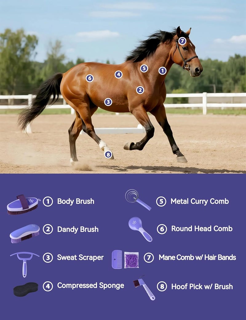 Furrishine 9PCS Horse Grooming Kit Curry Comb Sweat Scraper Horse Bathing Supplies Grooming Tools with Storage Bag Sugar Taro - Image 2